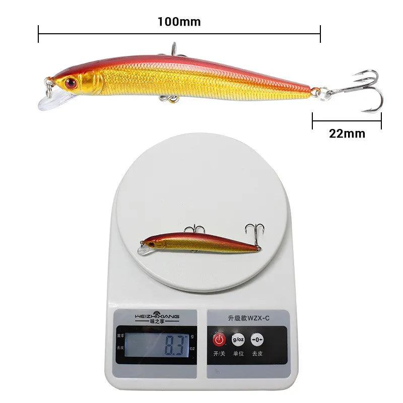 Minnow Fishing Lures