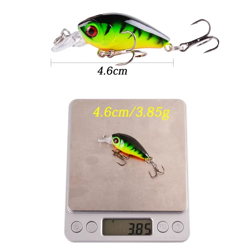 Minnow Fishing Lure